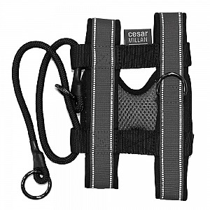 Pack Leader Collar Trainingshalsband (Cesar Millan)